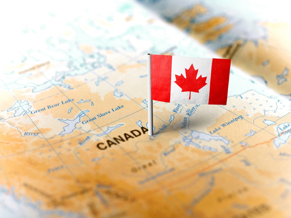 Assessment for Immigration & Refugee